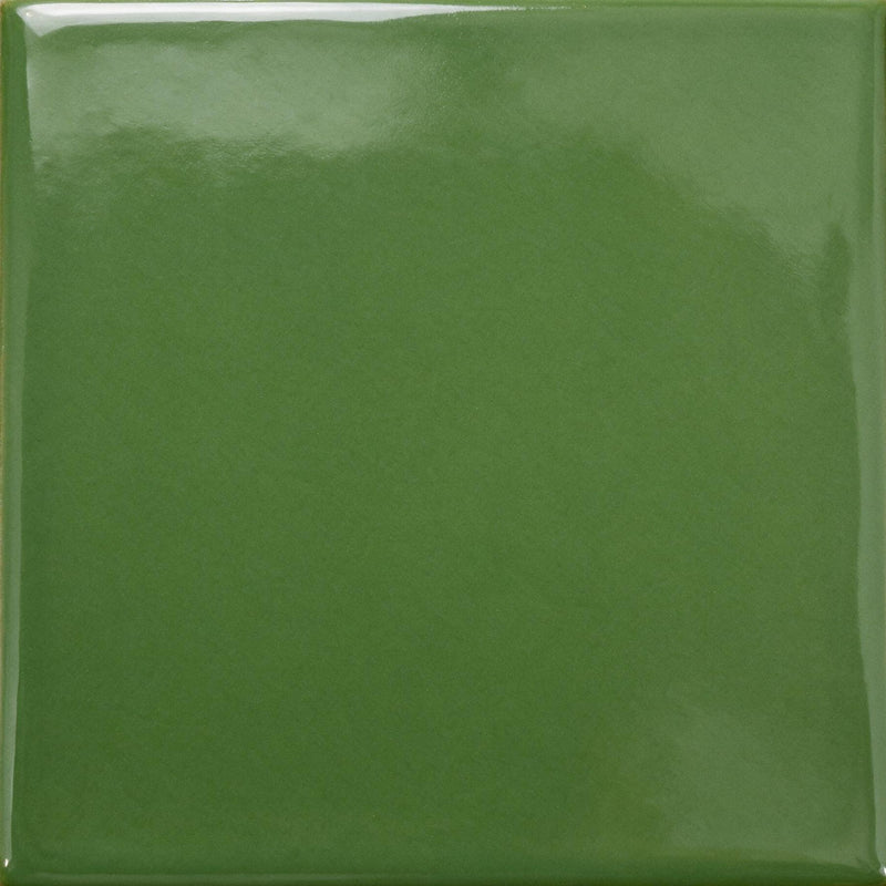 Palm Green