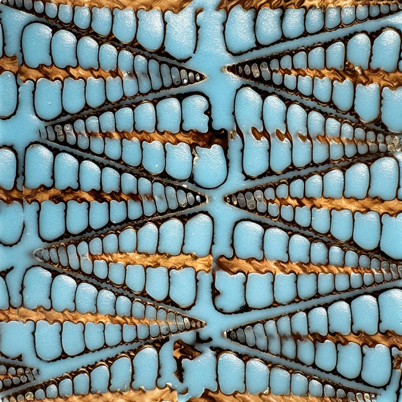 Big Snail Lace Blue