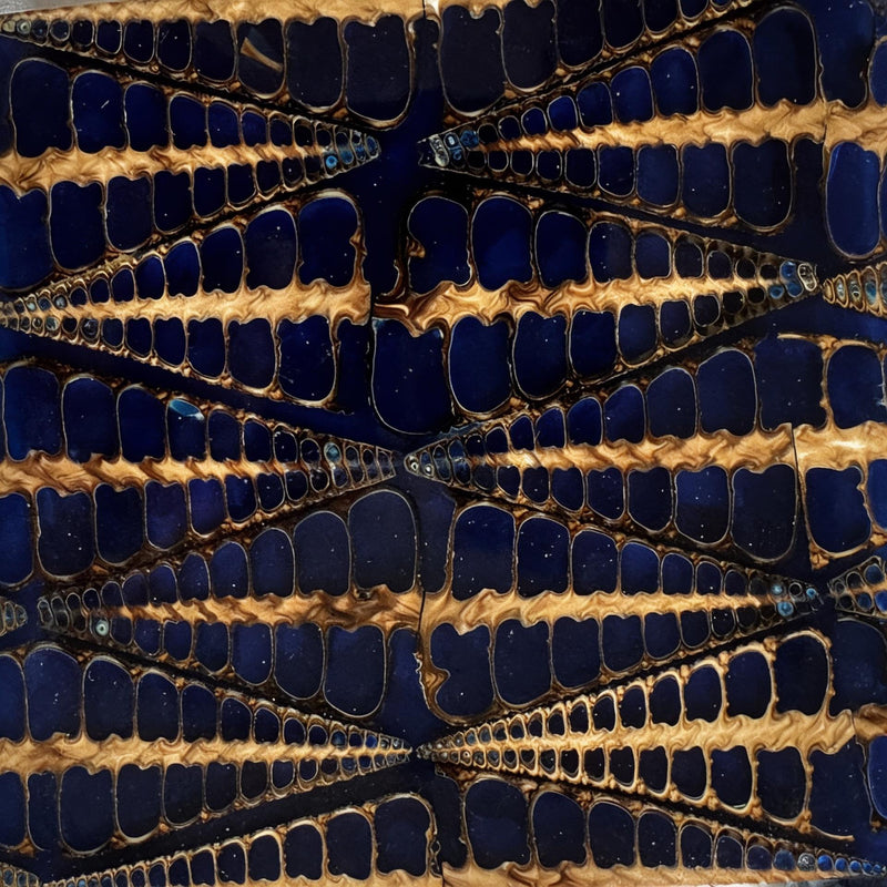 Big Snail Fishbone Navy Blue